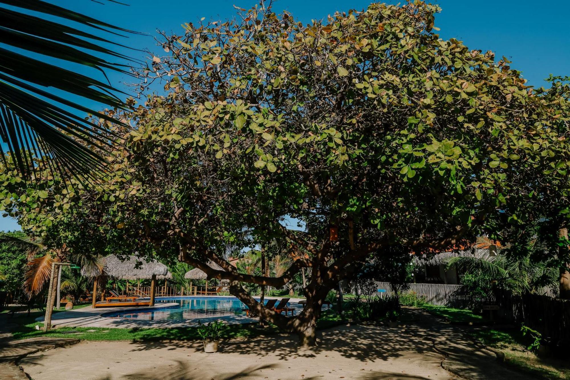 イカライー Casas Capulanaヴィラ エクステリア 写真
